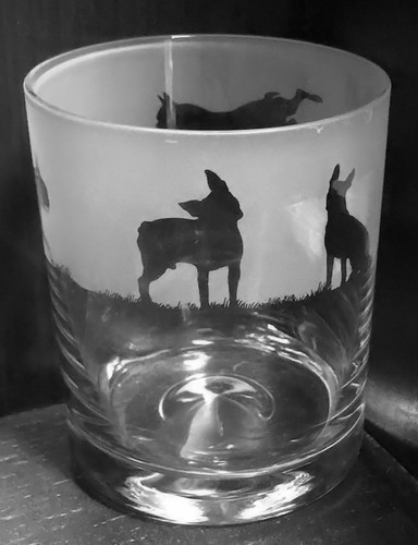 Boston terrier frieze boxed - boston,