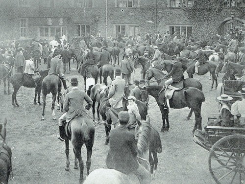 Tiverton staghounds meet - staghounds,