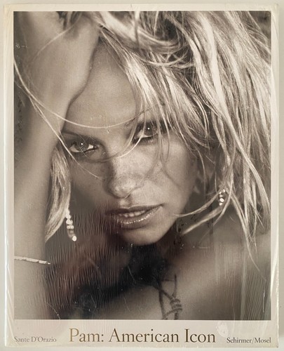 Pam american icon - pam,