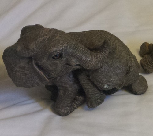 Herd elephant collection - herd,