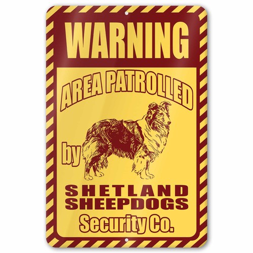 Shetland sheepdog area - shetland,