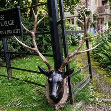 Large wall mounted stag - large,