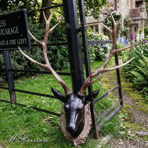 Large wall mounted stag - mounted,