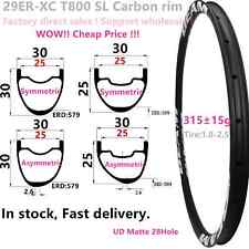 29er Carbon Fiber XC Mountain