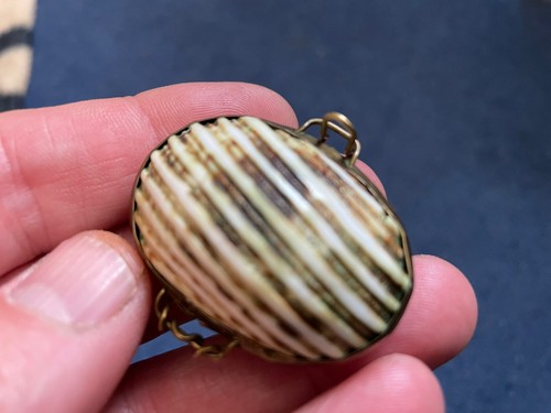 Vintage clam sea - clam, brass