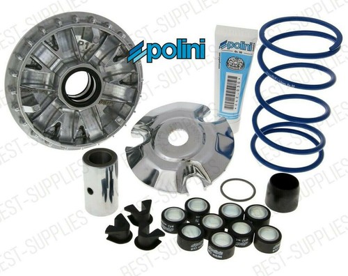 Polini performance variator - polini,