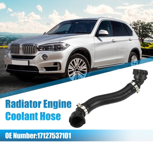 Radiator coolant hose - radiator,