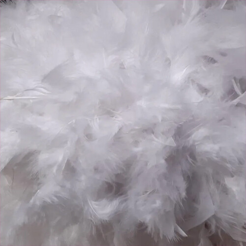 Feather boa coloured - 2m,