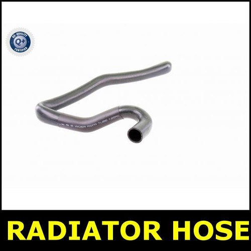 Radiator hose lower for - lower,