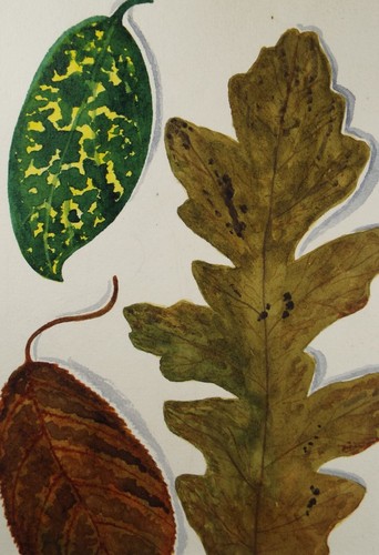 Original naive watercolour - naive,