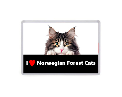 Love norwegian forest - love, cats