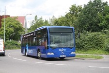 2416 HF55JZR Bluestar (Go