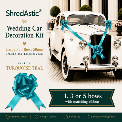 Shredastic wedding car - ,