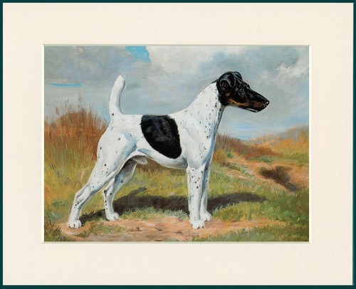 Smooth fox terrier dog art - dog,