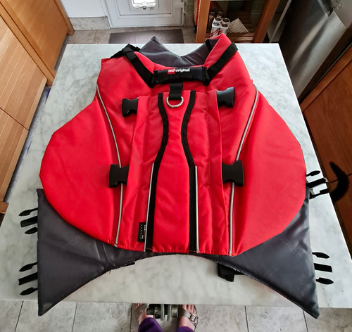 Red equipment dog bouyancy aid - equipment,