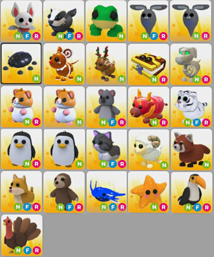 Adopt pets neon - me,