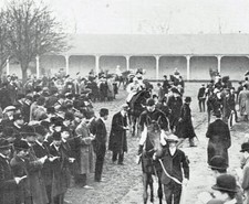 Derby Racecourse Cup Day