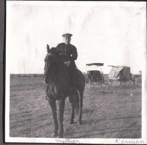 Photograph women horse - women's, horse/wagon
