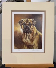Mick Cawston - Bull Mastiff -