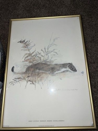 Vintage mads stage framed - vintage,