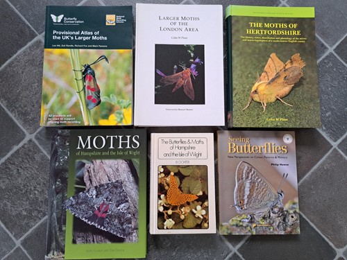 Bundle moth butterfly - of,