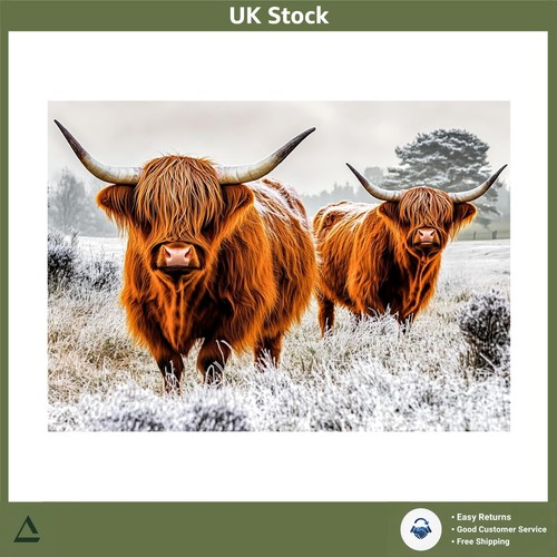 Highland cows diamond art kits - highland,