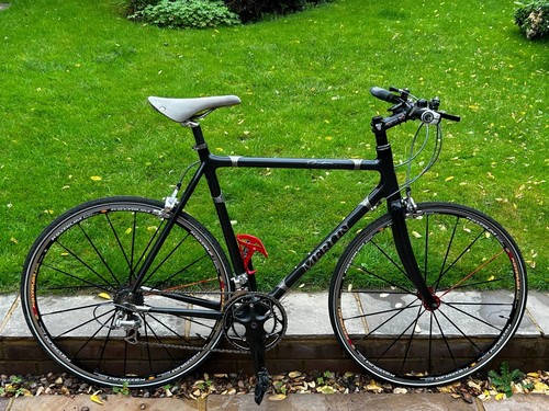 Merlin proetus carbon - merlin, /