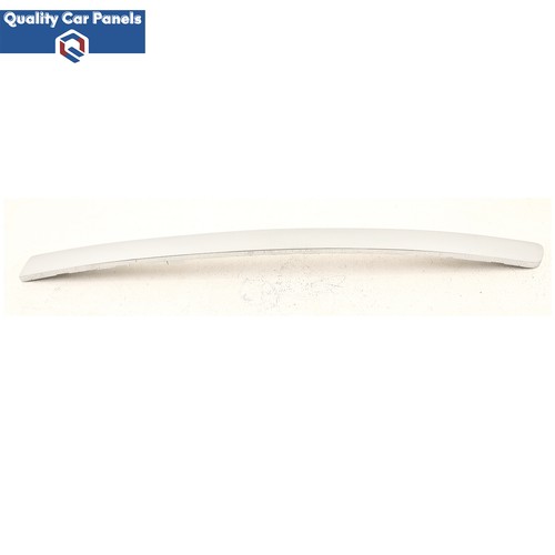 Front lower grille moulding - front,