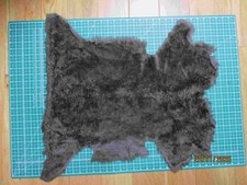 Chocolate Brown Short Curly