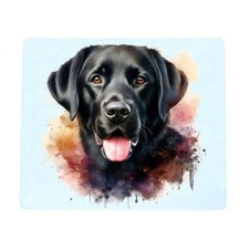 Black labrador retriever - black, dog