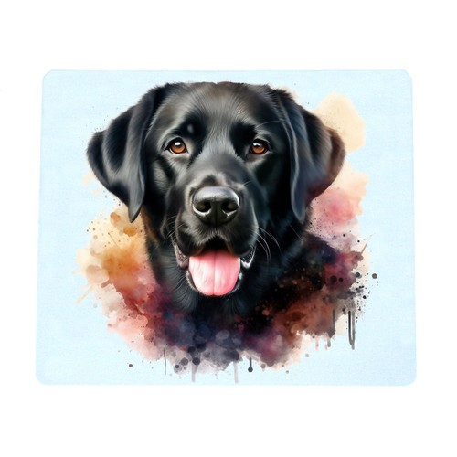 Black labrador retriever dog - black,