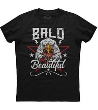 Bald & Beautiful Bald Eagle