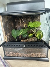 Fully Bioactive Exo Terra &
