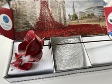 Tower of London Ceramic Poppy