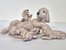 Puppy in my Pocket Poodle