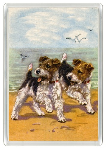 Wire fox terrier dog fridge - wire,