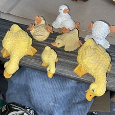 Bundle of Chicks Chickens &