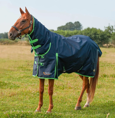 Gallop trojan light weight - trojan,