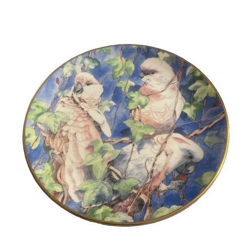 Wedgwood the moluccan - ‘the,