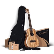 BARITONE ACOUSTIC ELECTRIC