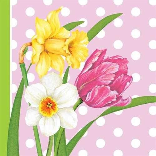 Polka dot garden daffodil - garden,