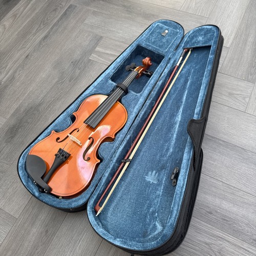Forenza uno serie viola - forenza, uno-serie