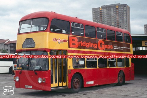 Bus photo clydeside mr983 - -,