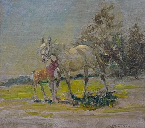 Horses landscape mare - in, a