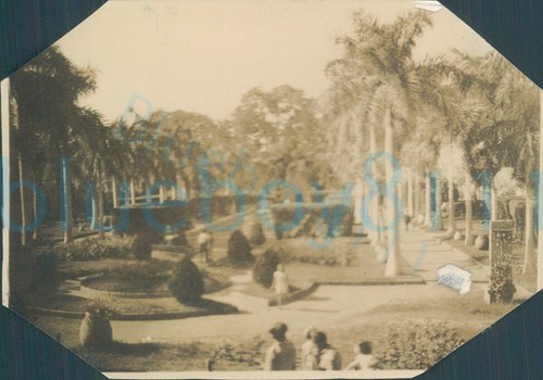 Ww2 egypt near the nile - near,