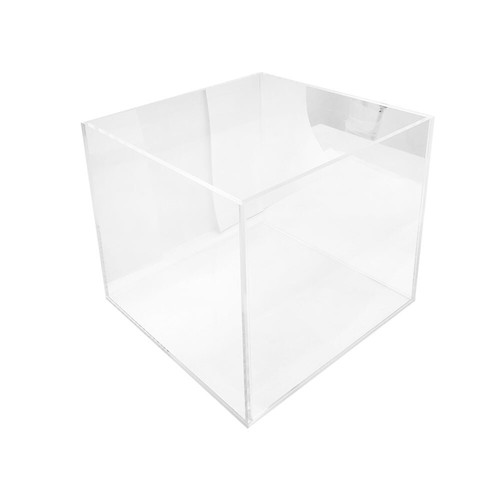 X 10 lucite - 10'',
