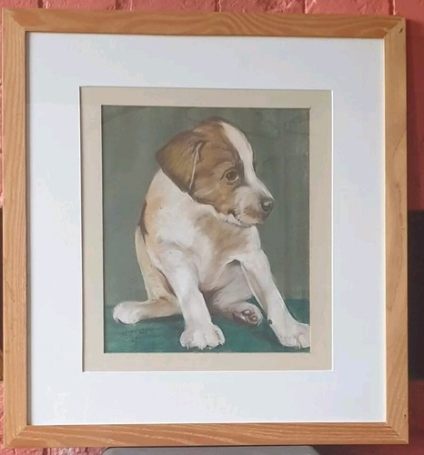 Jack russell hound - hound,, puppy