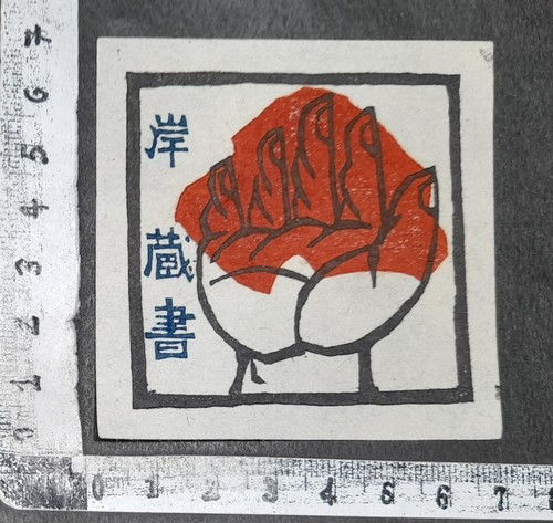 Wunderkammer exlibris 862 - wunderkammer,