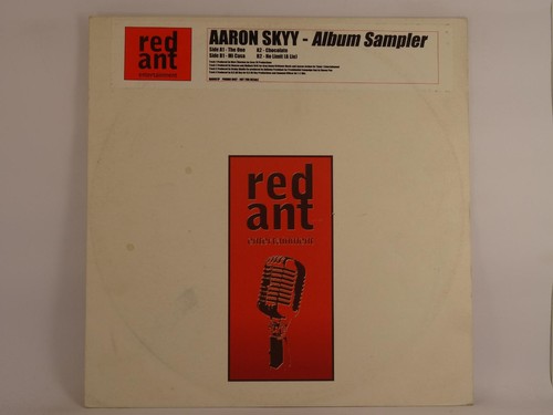 Skyy aaron album sampler - skyy,aaron, (a)
