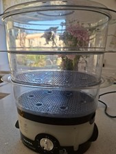 Teal Steam Cuisine  Model